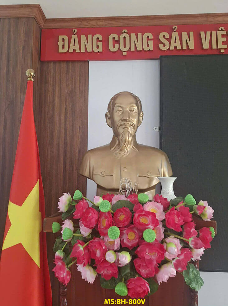 giao+tuong+bac+ho+thach+cao+toan+quoc BH800V