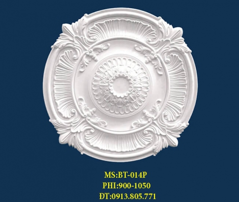 Thạch cao | THI CÔNG PHÀO CHỈ TẠI ĐÀ LẠT LÂM ĐỒNG